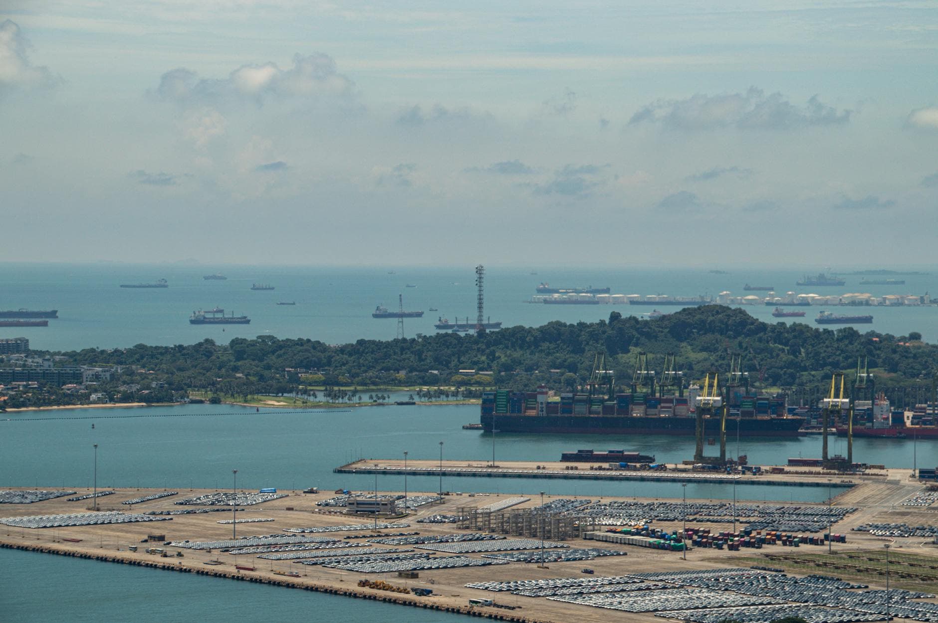 Container cranes at Singapore's Tuas Port — one of four sectors targeted for AI transformation.